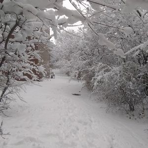 Meet your Posher, Faride